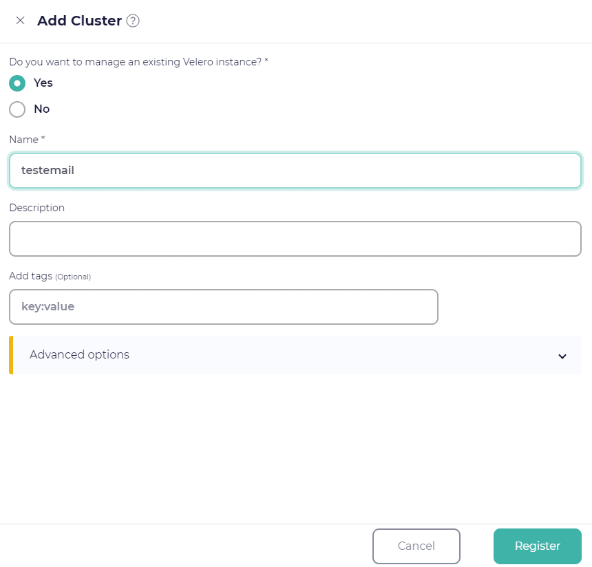 Managing existing Velero instance in CloudCasa setup