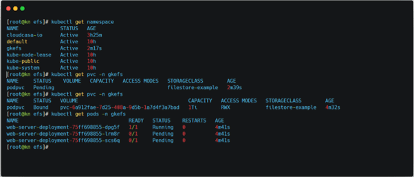 Fig 15 Deleted namespace gkefs restored with all its components