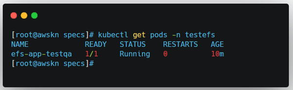 Amazon EFS Backup Test Pod