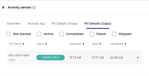 PV Job activity Details (Copy)