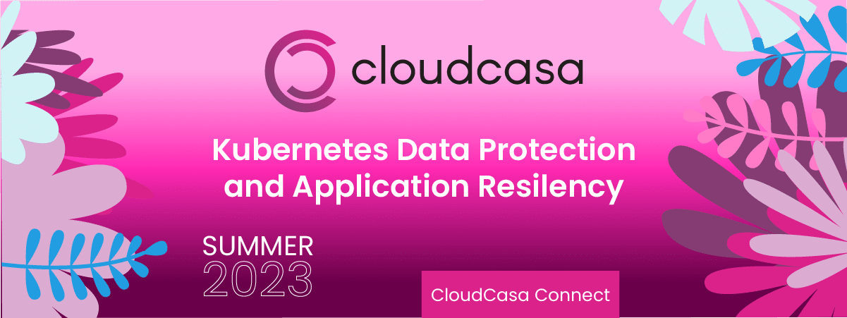 cloudcasa summer newsletter 2023