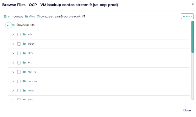 File-Level Restore for VMs 